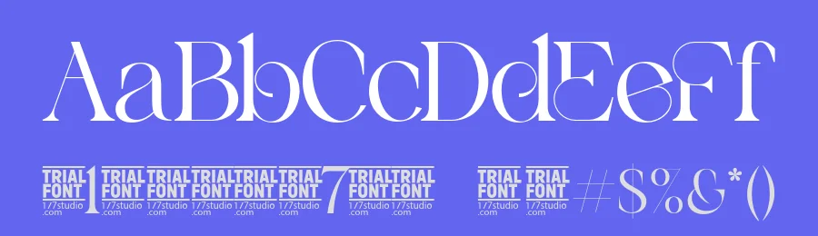 Aspect Range by 177Studio — Serif Font — thumbnail 3
