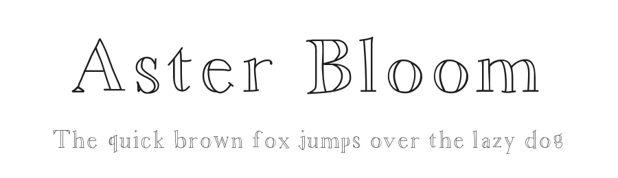 Aster Bloom by Meagan β Decorative Font