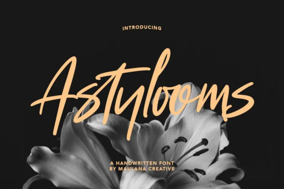 Astylooms Font by Maulana Creative — Script Handwritten Font