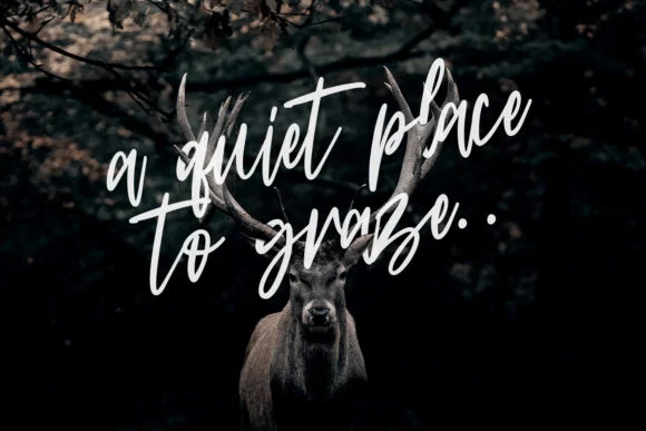 Astylooms Font by Maulana Creative — Script Handwritten Font — thumbnail 6
