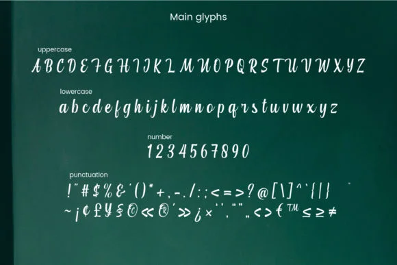 Atarashi Font by Mytype Studio — Script Handwritten Font — thumbnail 2
