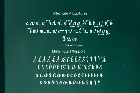 Atarashi Font by Mytype Studio — Script Handwritten Font — thumbnail 3