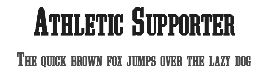 Athletic Supporter