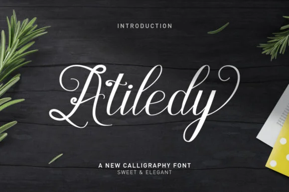 Atiledy Script Font by Nandatype β Script Handwritten Font