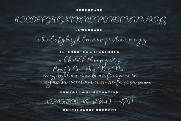 Atlantic Script Font by akifatype — Script Handwritten Font — thumbnail 4