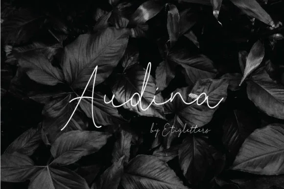 Audina Font by etigletters — Script Handwritten Font