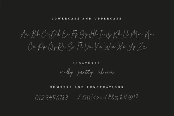 Audina Font by etigletters — Script Handwritten Font — thumbnail 2