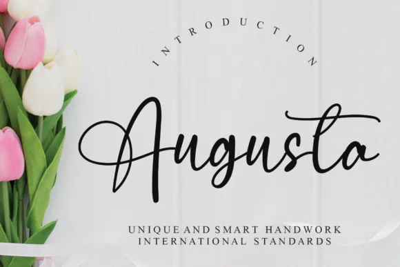 Augusta Font by Misterletter.co by Misterletter.co — Script Handwritten Font