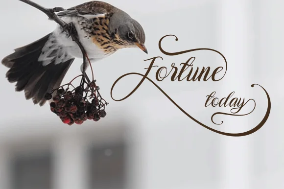 Augustine Font by Nandatype — Script Handwritten Font — thumbnail 6