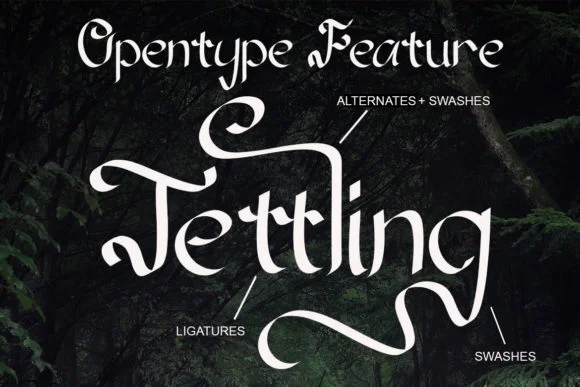 Aulidah Font by Sealoung — Script Handwritten Font — thumbnail 7