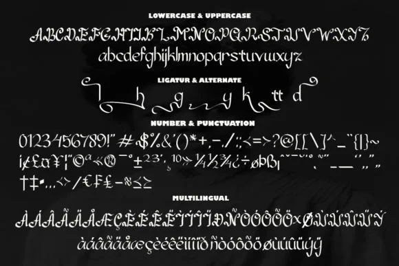 Aulidah Font by Sealoung — Script Handwritten Font — thumbnail 9