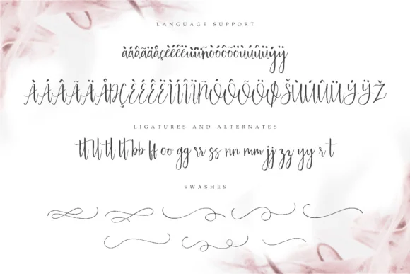 Australis Font by NendesKombet — Script Handwritten Font — thumbnail 8