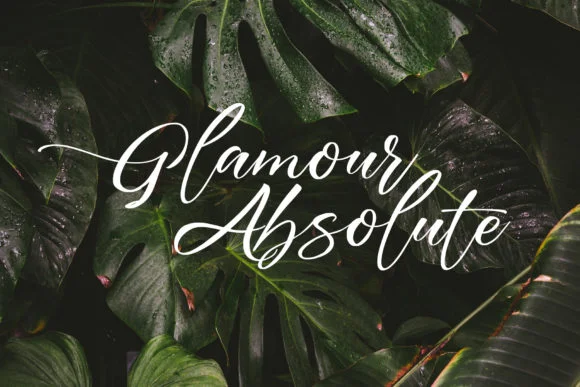 Austria Font by Debut Studio by Debut Studio — Script Handwritten Font — thumbnail 3