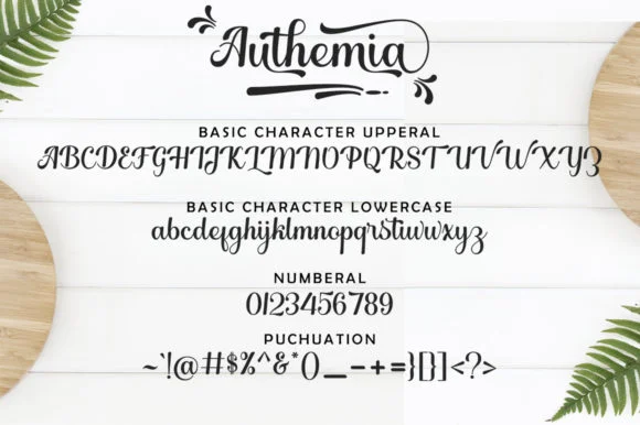 Authemia Font by Skinny type — Script Handwritten Font — thumbnail 5