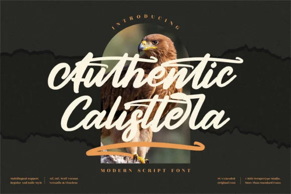 Authentic Calisttera Font by Perspectype — Script Handwritten Font