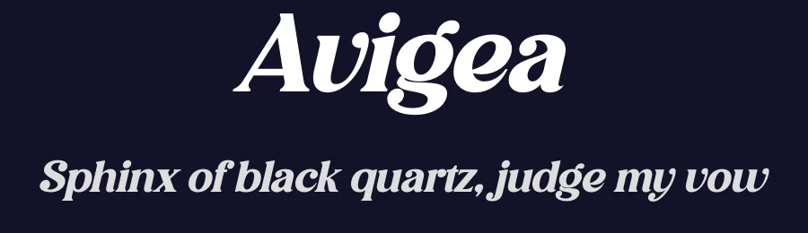 Avigea by Storytype Studio — Serif Font — thumbnail 2