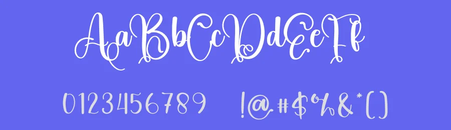 Aviration by Inermedia Studio — Script Handwritten Font — thumbnail 3