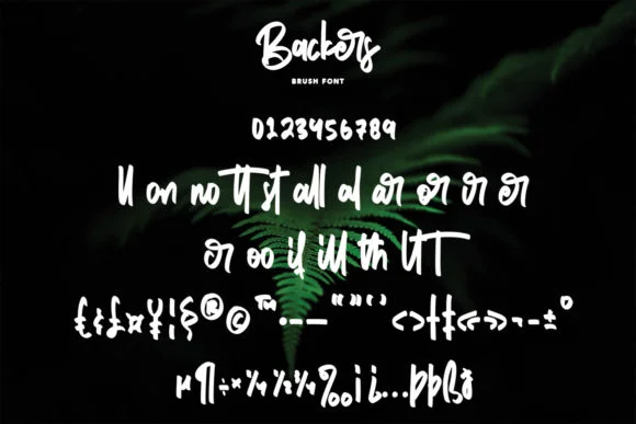Backers Font by Maulana Creative — Script Handwritten Font — thumbnail 8