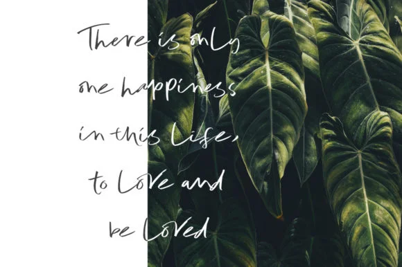 Bale & Melanie Font by andikafez — Script Handwritten Font — thumbnail 3