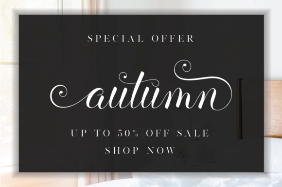 Balerina Script Font by fanastudio — Script Handwritten Font — thumbnail 2
