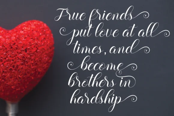 Balerina Script Font by fanastudio — Script Handwritten Font — thumbnail 7