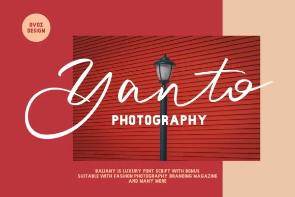 Baliany Script Font by ovoz.graphics — Script Handwritten Font — thumbnail 2