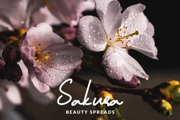 Ballaikhota Font by SharkStudio — Script Handwritten Font — thumbnail 5