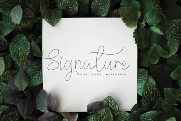 Baltimore Font by Roronoa zoro.S.P.D by Roronoa zoro.S.P.D — Script Handwritten Font — thumbnail 2
