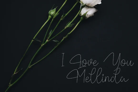 Baltimore Font by Roronoa zoro.S.P.D by Roronoa zoro.S.P.D — Script Handwritten Font — thumbnail 5
