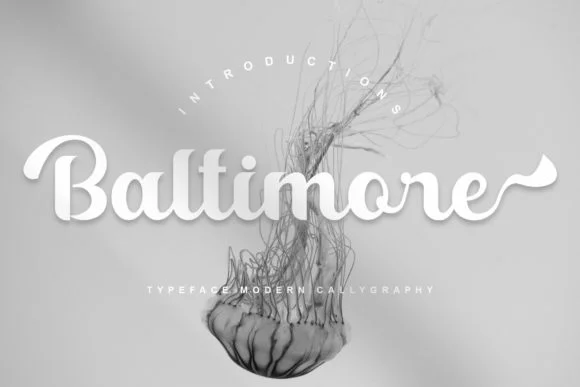 Baltimore Font by YanStudio by YanStudio — Script Handwritten Font