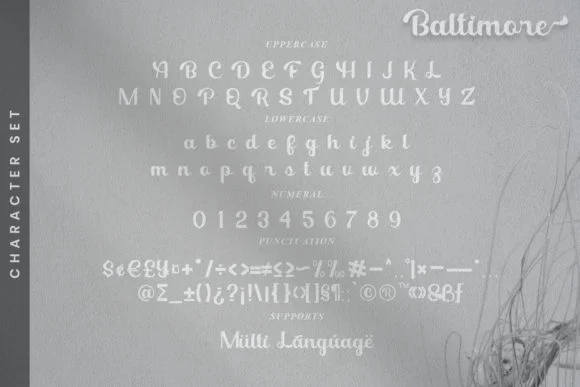 Baltimore Font by YanStudio by YanStudio — Script Handwritten Font — thumbnail 6