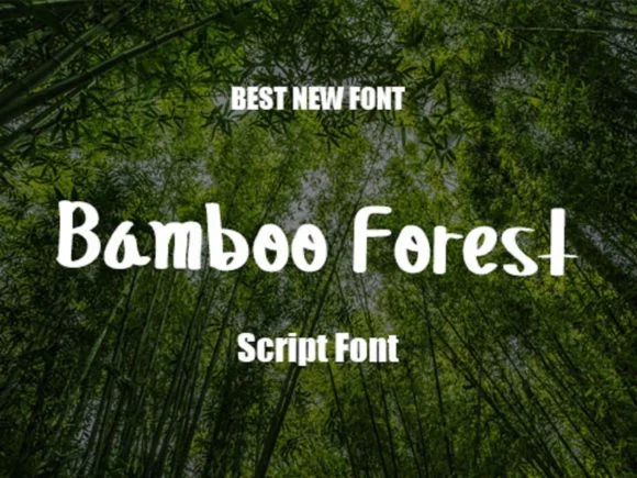 Bamboo Forest Font by scriptstrategy — Script Handwritten Font