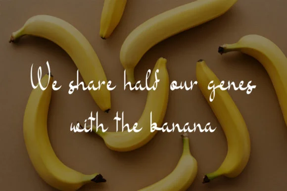 Banana Milk Font by morningtimestudio — Script Handwritten Font — thumbnail 2