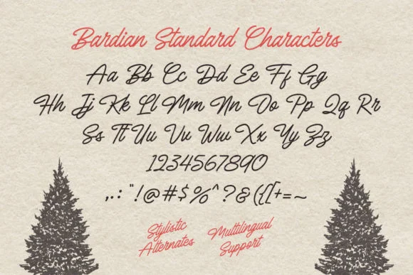 Bardian Font by letterhend — Script Handwritten Font — thumbnail 5