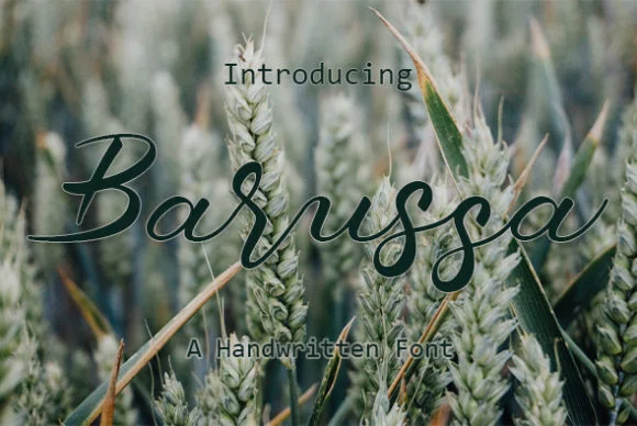 Barussa Font by Camalia Studio — Script Handwritten Font