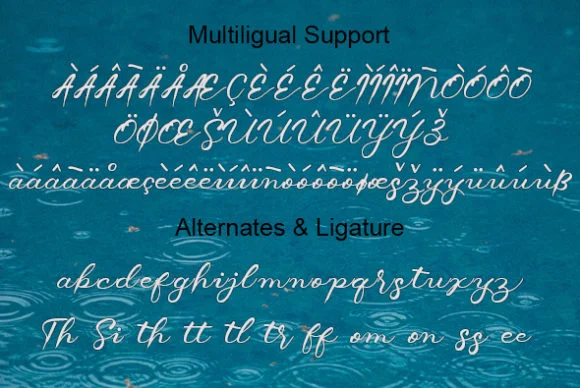 Barussa Font by Camalia Studio — Script Handwritten Font — thumbnail 6