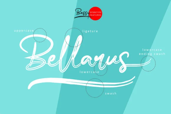 Bassy Font by erlosDESIGN — Script Handwritten Font — thumbnail 6
