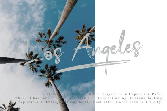 Bassy Font by erlosDESIGN — Script Handwritten Font — thumbnail 8