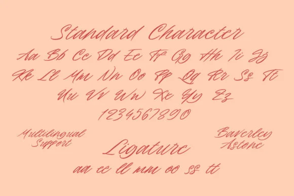 Baverley Astone Font by letterhend — Script Handwritten Font — thumbnail 5