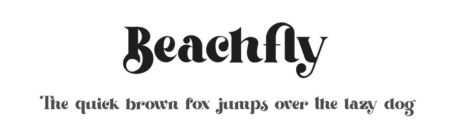 Beachfly