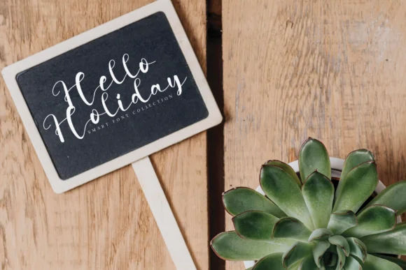 Beachlove Holiday Font by Misterletter.co — Script Handwritten Font — thumbnail 4