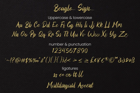 Beagle Sign Font by attypestudio — Script Handwritten Font — thumbnail 6