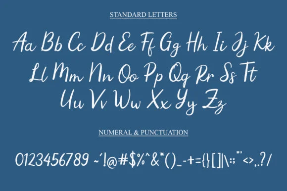 Beatiful Flowers Font by najmustsaqib.creator — Script Handwritten Font — thumbnail 4