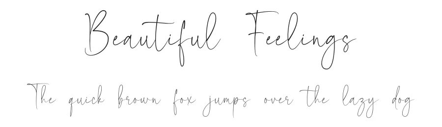 Beautiful Feelings