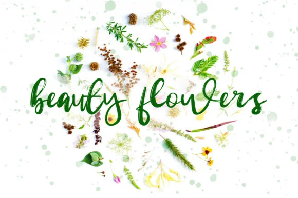 Beauty Flowers Font by hafidtrihandoko.ps by hafidtrihandoko.ps β Script Handwritten Font