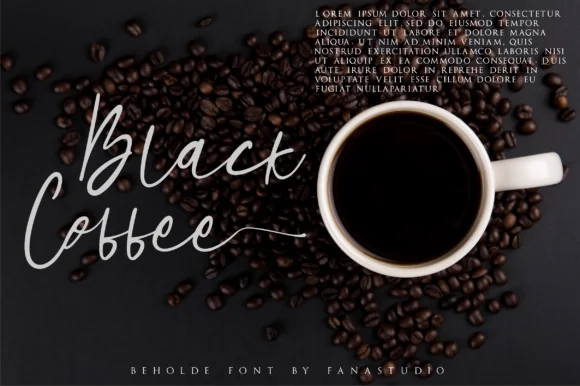 Beholde Font by fanastudio — Script Handwritten Font — thumbnail 4