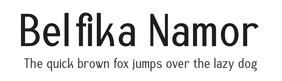 Belfika Namor by Storytype Studio — Serif Font