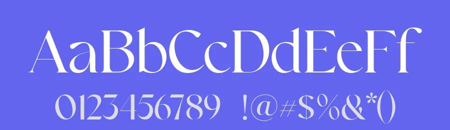 Belgan Aesthetic by Handpik — Serif Font — thumbnail 3