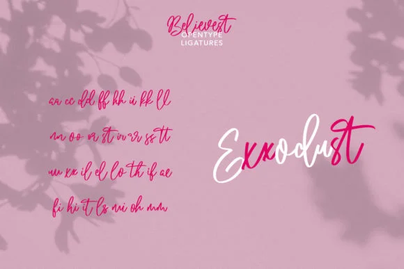 Believest Script Font by Maulana Creative — Script Handwritten Font — thumbnail 9