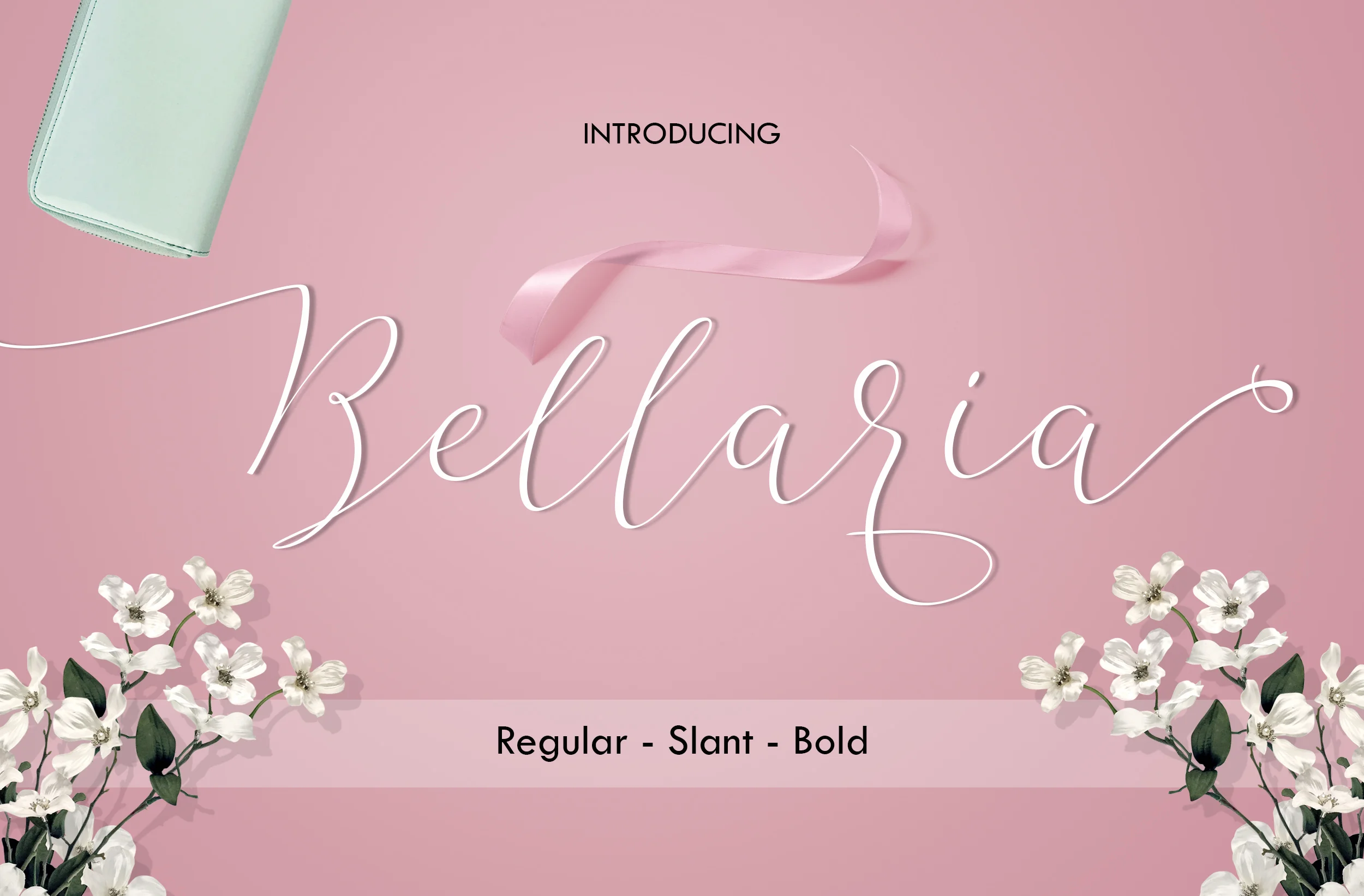 Bellaria Script Font by Best Font Studio — Script Handwritten Font
